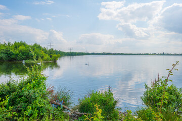 Fototapeta premium Edge of a sunlit lake with small islands with birds breeding reflecting a blue cloudy sky in summer