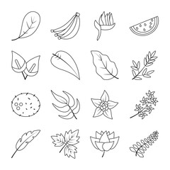 tropical flowers and fruits icon set, line style