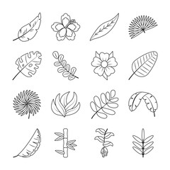 flowers and tropical leaf icon set, line style