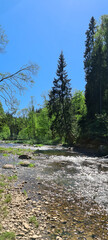 Rapids on the Amota River in Gauja National Park