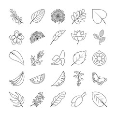 tropical fruits and flowers icon set, line style