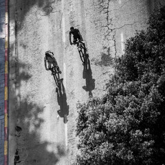 Isolated close up top view of an urban street with bicycle riders casting big shadows- TLV- Central Tel Aviv Israel