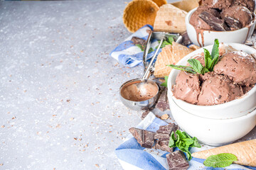 Homemade chocolate ice cream