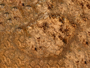 macro Gold ore in the boulder , precious stone