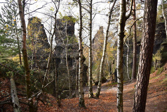 Piskovce Rajecke udoli, Sandstone Rajec Valley