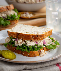 Tuna Fish Sandwich on Multiseed Bread