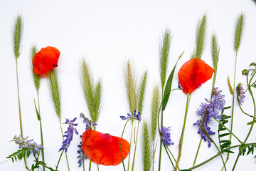 composition of wild field flowers on white background