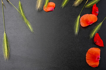 red poppy petals and ears rye on black shiny background, summer natue flat lay composition