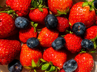 Closeup of freshly picked home grown strawberries, raspberries and blueberries