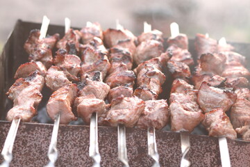 Cooking meat on skewers in barbecue on picnic
