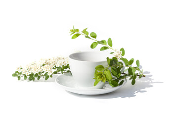 White cup of tea with fresh white flowers on white background 