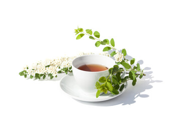 White porcelain cup with black tea and fresh white flowers on white background.