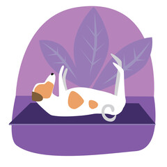 Jack Russell Terrier or cute character doing yoga on the background of plants, flat vector stock illustration with dog doing yoga asana on mat