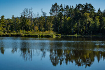 Nature reserve Pfrunger-Burgweiler-Ried in autumn