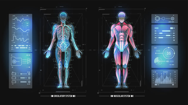 Body hologram, futuristic design. Human cloning concept. Innovation technology in medicine. Data monitors, statistics and diagrams, infographic. Hud vector Design.