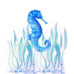Aquarelle painting of  seahorse sketch art illustration © NATALIIA TOSUN