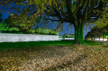 Nightview of the The famous Lucca city walls, intact from Renaissance era, Tuscany, Italy