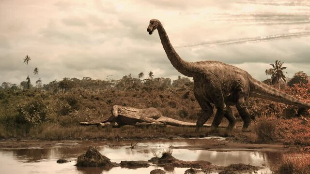Sauropods Die from the heat blast of a meteor impact