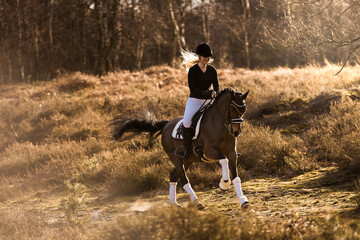 Reiterin galoppiert lachend mit ihrem Dressurpony durch die Heide im Sonnenuntergang