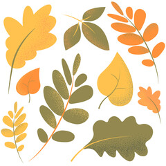 Obraz premium Colorful autumn leaves set