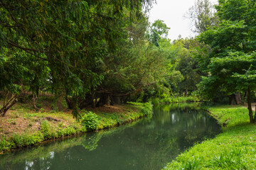 Fototapeta na wymiar Small lake with lush tropical vegetation at the English Garden of Caserta Royal Palace, Campania, Italy.