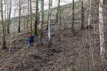 Fototapeta premium A tourist girl in a sports jacket and hat climbs the slope of an influential forest on a sunny spring day. Hiking, healthy lifestyle.