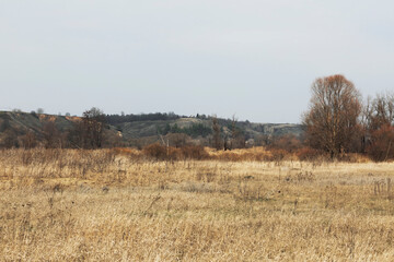 Spring landscape. Beautiful view of nature in early spring. A rare mixed forest and flood plain of a non-sick river on a clear sunny day.