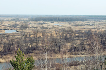 Spring landscape. Beautiful view of nature in early spring. A rare mixed forest and flood plain of a non-sick river on a clear sunny day.