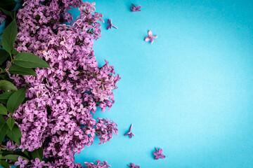 Lilac branches on blue background.