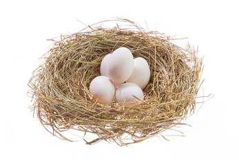 Nest with Easter eggs