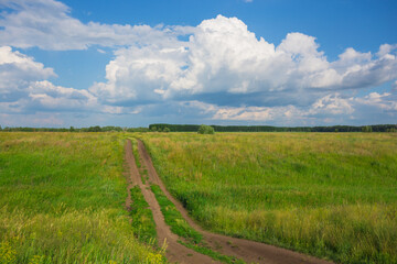 Fototapeta na wymiar Country road at sunset in the field