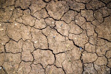 Cracked soil or mud pattern. Dry cracked earth texture background.