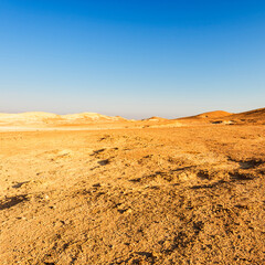 Whimsical Patterns of the Desert