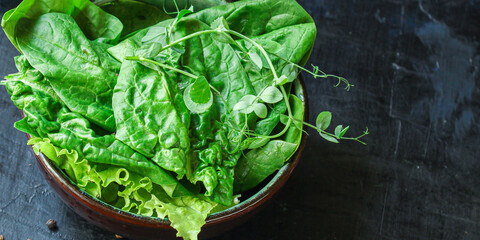 green salad spinach, arugula, lettuce, microgreen Menu serving size. food background top view copy space for text organic 