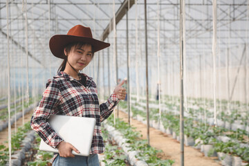 Asian woman farmer using tablet and notebook for research and check the quality of the melon tree in the  greenhouse.