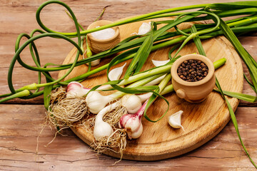 Set of ingredients for pickling garlic arrows. Ripe vegetables, herbs, sea salt, spices