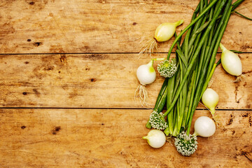 Fresh young onion and its greens. Traditional ingredient for cooking