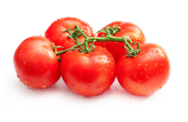 Branch of tomatoes isolated in white