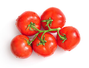 Branch of tomatoes isolated in white. Top view