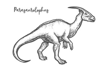 Obraz na płótnie Canvas Engraved Parasaurolophus dino or sketch dinosaur vector