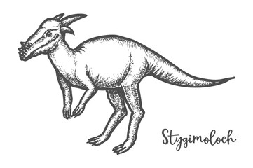 Pachycephalosaurus dinosaur or Stygimoloch vector sketch tatoo