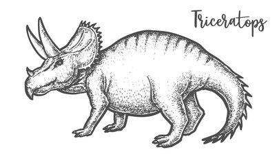 Hand drawing Triceratops dinosaur vector sign tatoo
