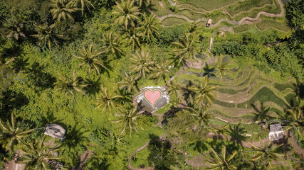 Aerial view of Rice terrace with palm tree in Bali, Indonesia. heart icon in the field.