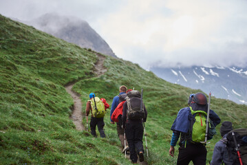 Back view of travelers with backpacks using trekking poles while climbing the grassy hill. Group of...
