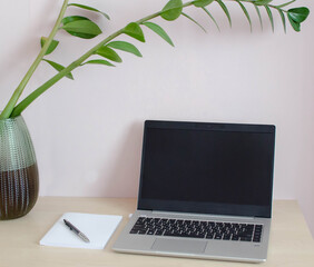 desktop with laptop on the light pink backgroun