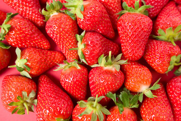 Ripe juicy orgaic strawberries on a red background.