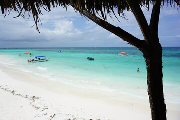 tropical beach with palm trees