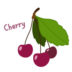 Red cherry. Simple vector illustration isolated on white background.