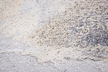 Texture, background, wall, light, grey. A part of wall. Copy space. Background for design.