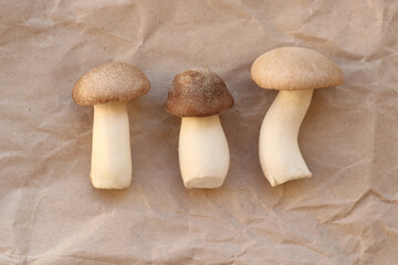 Beige concept. Mushrooms on a beige paper background. Homemade, farm, mushroom, cook, beige.